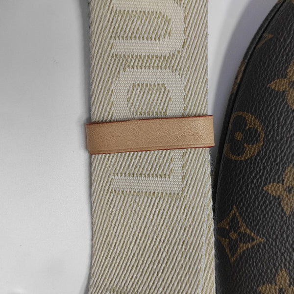 BUMBAG Monogram Coated Canvas Brown
