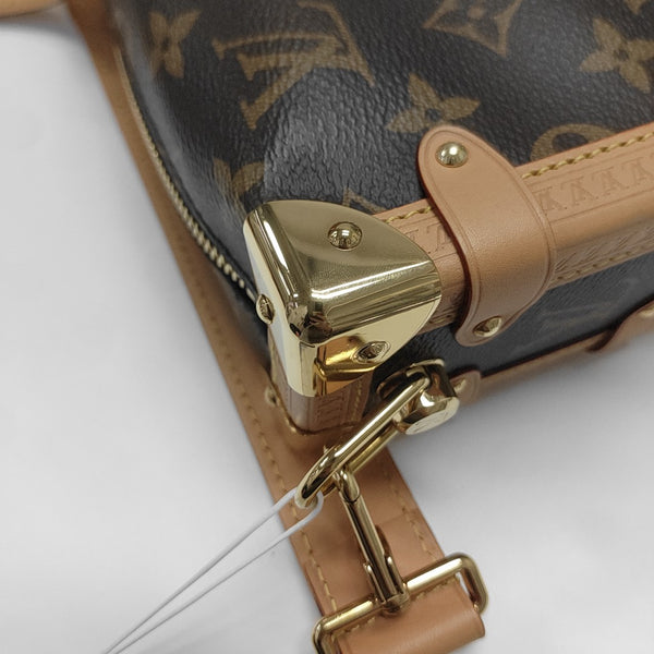 SIDE TRUNK PM Monogram Coated Canvas Brown