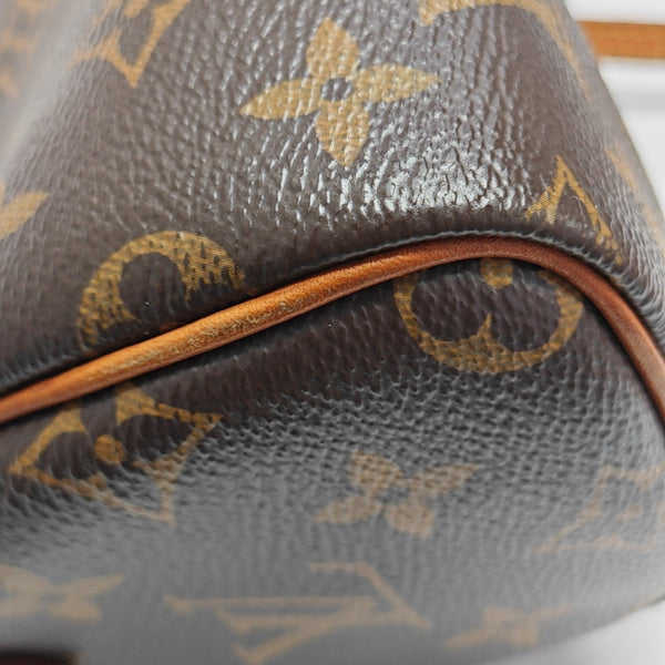 SPEEDY Nano Monogram Coated Canvas Brown