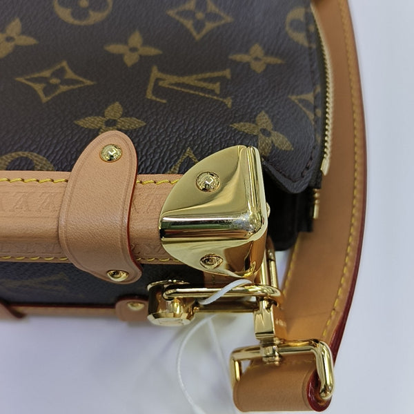 SIDE TRUNK PM Monogram Coated Canvas Brown