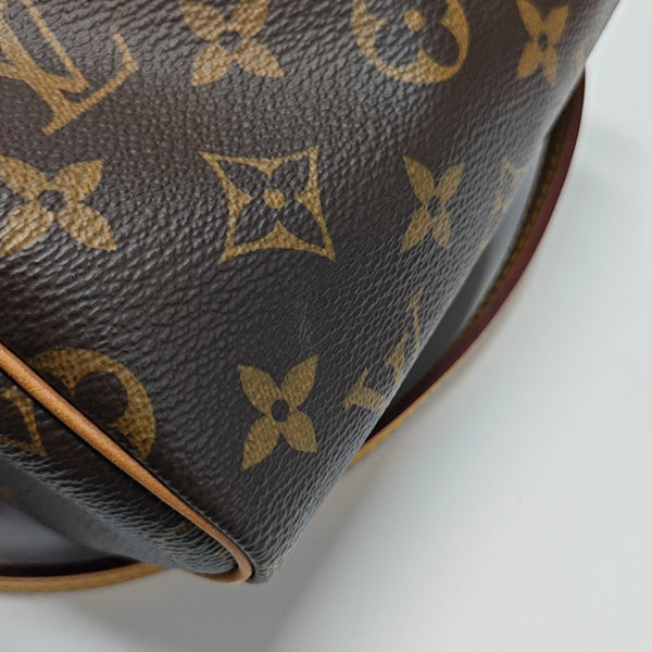 SPEEDY Nano Monogram Coated Canvas Brown
