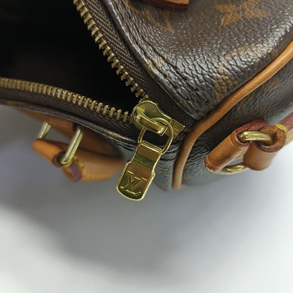 SPEEDY Nano Monogram Coated Canvas Brown