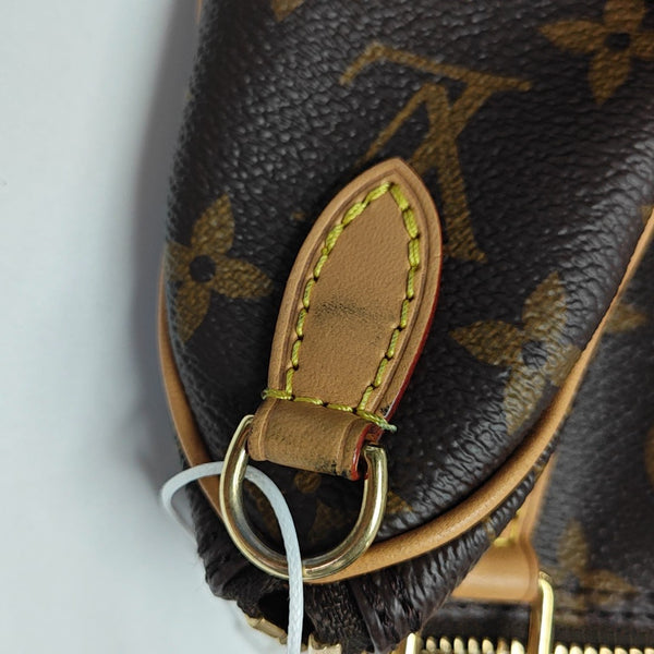 SPEEDY Nano Monogram Coated Canvas Brown
