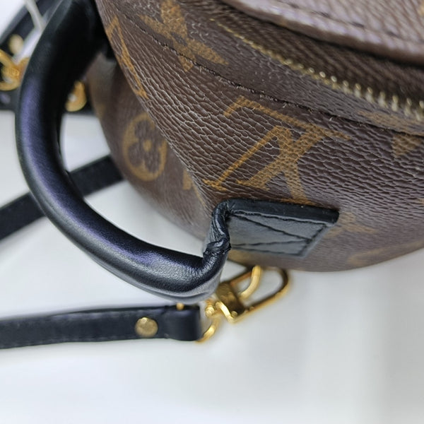 PALM SPRINGS Mini Monogram Coated Canvas Brown
