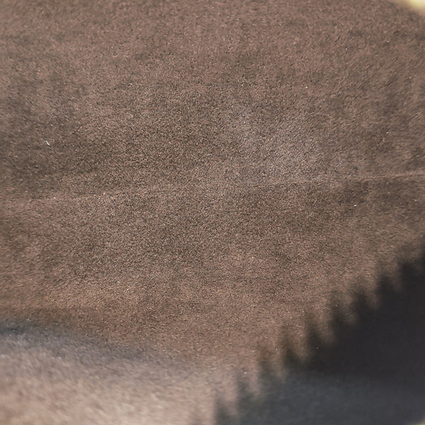 SIDE TRUNK PM Monogram Coated Canvas Brown