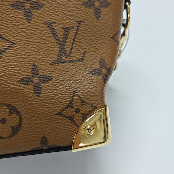 NOÉ PURSE LV CHARMS Monogram Coated Canvas Brown
