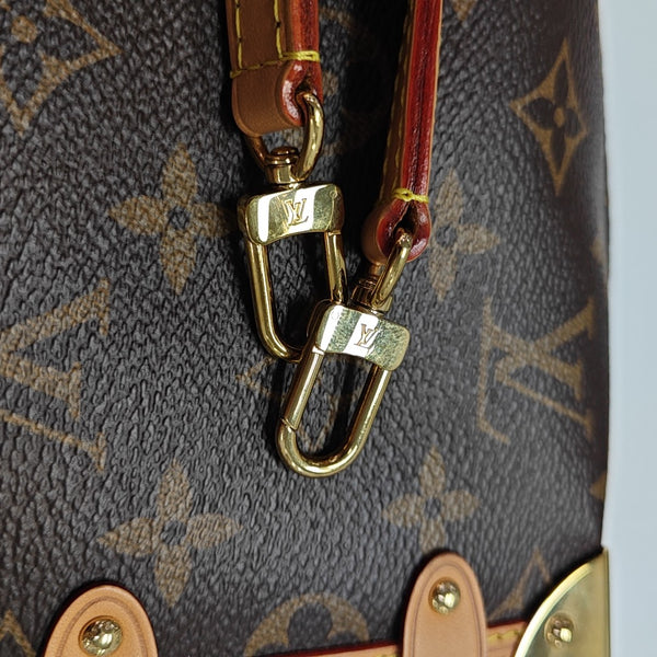 SIDE TRUNK PM Monogram Coated Canvas Brown