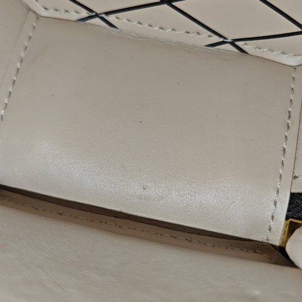 BOITE CHAPEAU Mini Monogram Coated Canvas Brown