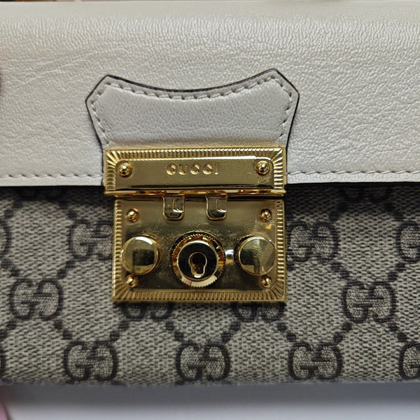 Padlock Mini Monogram Coated Canvas Multicolor