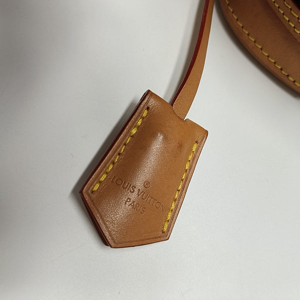 VALISETTE PM Monogram Coated Canvas Brown