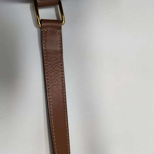 TRIOMPHE CANVAS Small Coated Canvas Brown