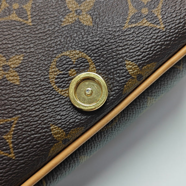 DIANE Nano Monogram Coated Canvas Brown