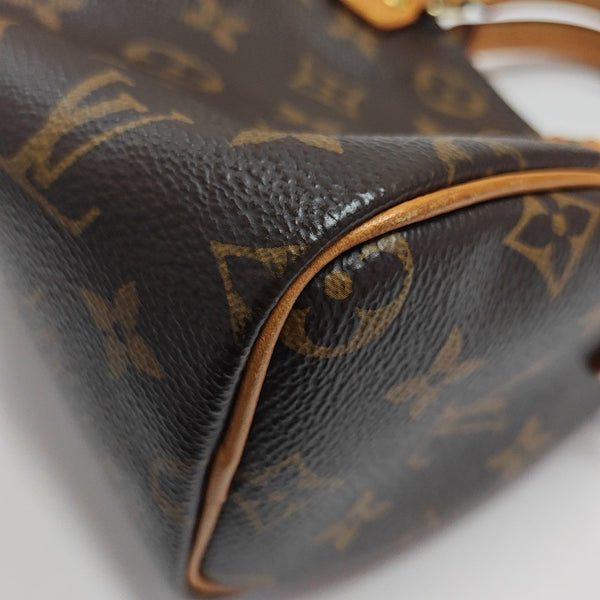 SPEEDY Nano Monogram Coated Canvas Brown