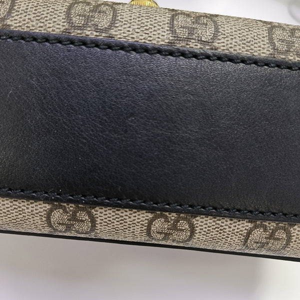 Padlock Small Monogram Coated Canvas Multicolor