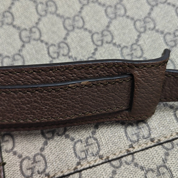 Monogram Coated Canvas Crossbody Bag Brown