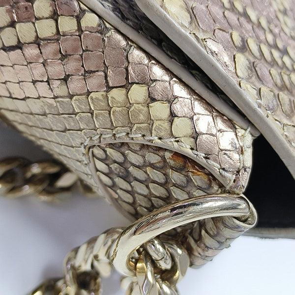 DIVAS' DREAM Python Multicolor