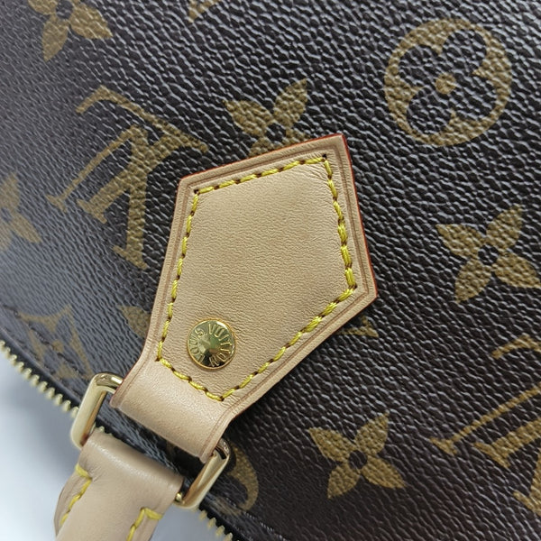 SPEEDY 25 Monogram Coated Canvas Brown