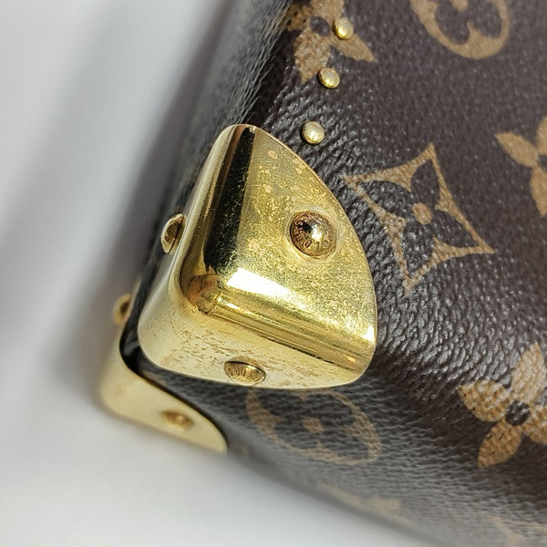 CAMERA BOX Monogram Coated Canvas Brown