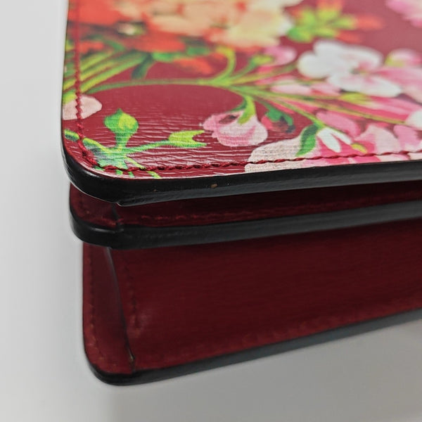 Dionysus Small Calfskin Red