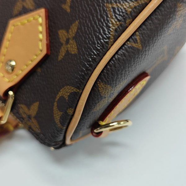 SPEEDY Nano Monogram Coated Canvas Brown