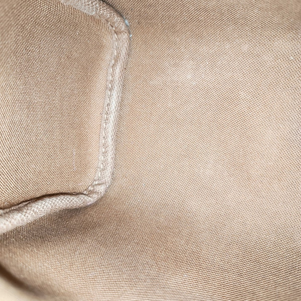 SPEEDY Nano Monogram Coated Canvas Brown