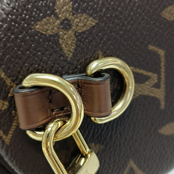 PAPILLON 19 Monogram Coated Canvas Brown