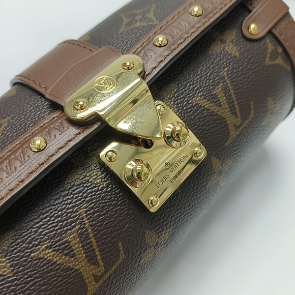 PAPILLON 19 Monogram Coated Canvas Brown