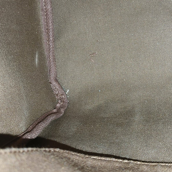SPEEDY 25 Monogram Coated Canvas Brown
