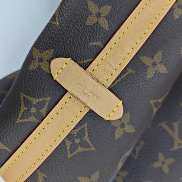 CARRYALL MM Monogram Coated Canvas Brown