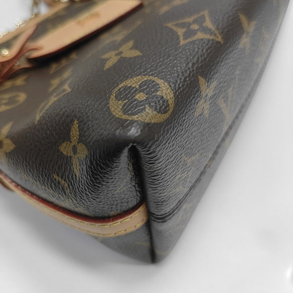 CARRYALL BB Monogram Coated Canvas Brown