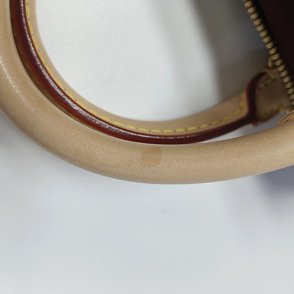 SPEEDY 20 Monogram Coated Canvas Brown