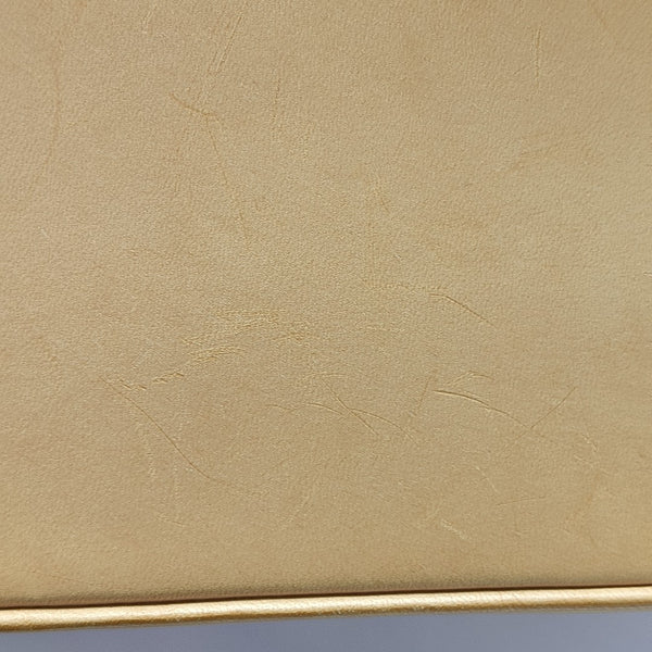 SAC AMBRE PM Monogram Plastic Brown