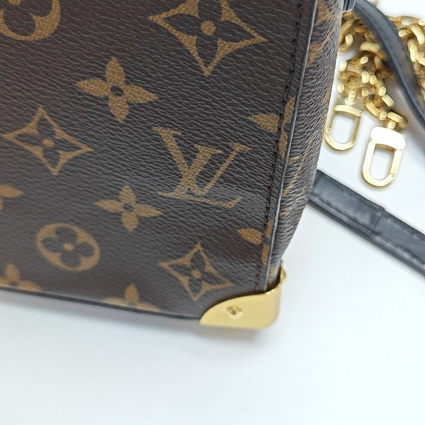 CAMERA BOX Monogram Coated Canvas Brown