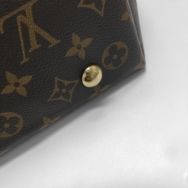 CARRYALL PM Monogram Coated Canvas Brown