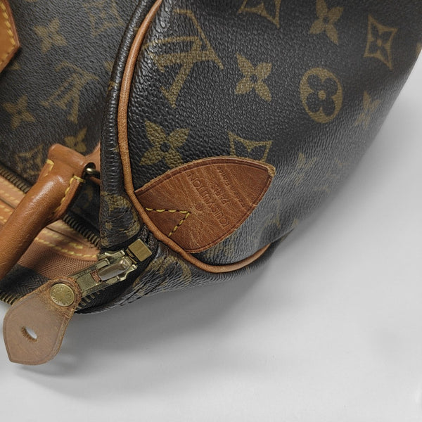 SPEEDY 25 Monogram Coated Canvas Brown
