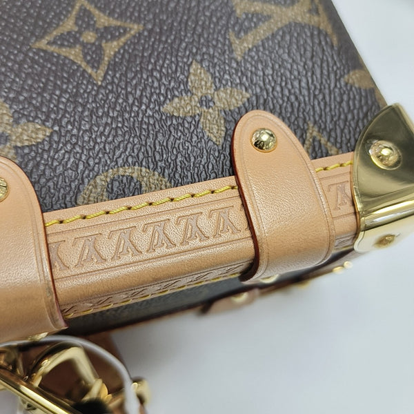 SIDE TRUNK PM Monogram Coated Canvas Brown