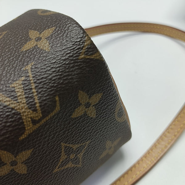 SPEEDY Nano Monogram Coated Canvas Brown