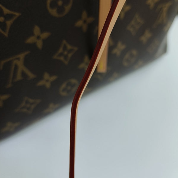 CARRYALL PM Monogram Coated Canvas Brown