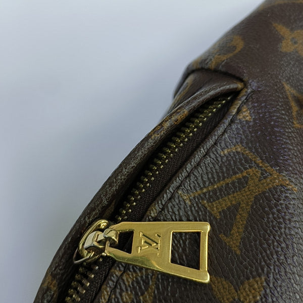 Monogram Coated Canvas Backpack Brown