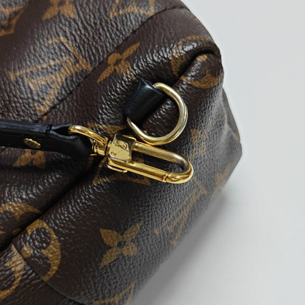 PALM SPRINGS Mini Monogram Coated Canvas Brown