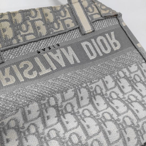 Diorcamp Large Oblique Canvas Gray