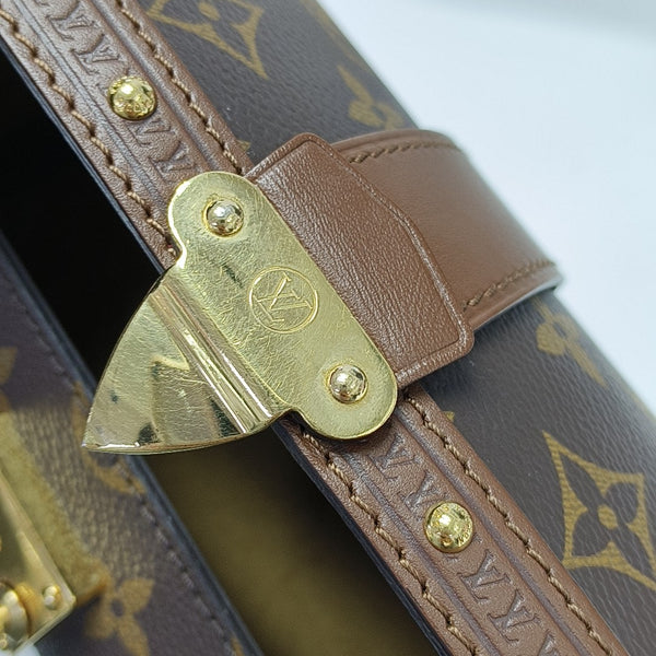 PAPILLON 19 Monogram Coated Canvas Brown