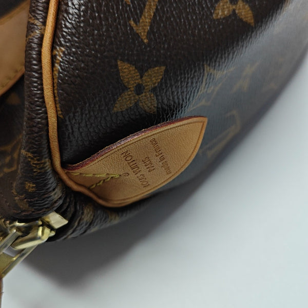 SPEEDY 25 Monogram Coated Canvas Brown