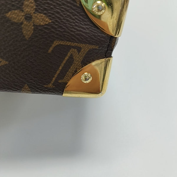 CAMERA BOX Monogram Coated Canvas Brown