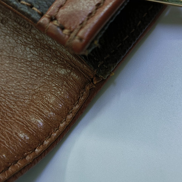 DAME Monogram Coated Canvas Brown
