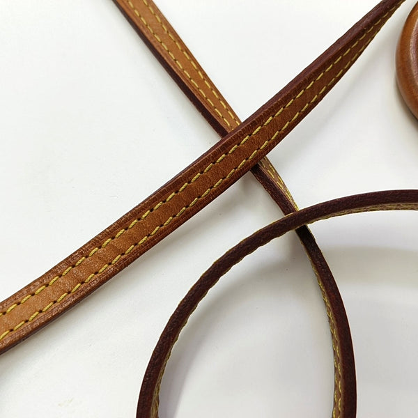 SPEEDY Nano Monogram Coated Canvas Brown