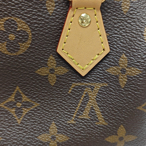 SPEEDY Nano Monogram Coated Canvas Brown
