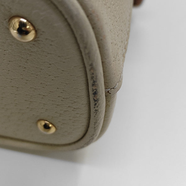 Diana Mini Calfskin White