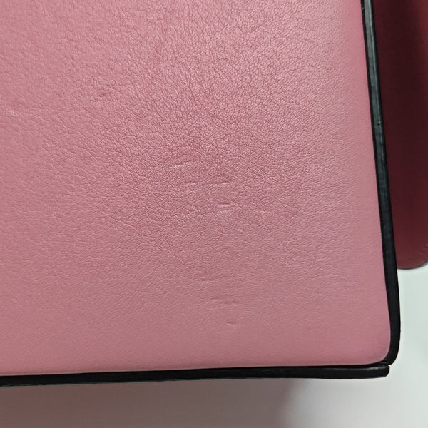 Postal Small Calfskin Pink