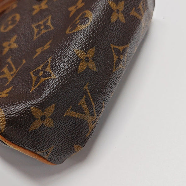 SPEEDY Nano Monogram Coated Canvas Brown
